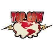 Topcow Universe