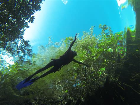 Tulum Snorkeling Photos: Casa Cenote | Agua Clara Diving Tulum