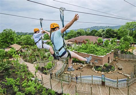 Pittsburgh Zoo debuts new zipline attraction | Pittsburgh Post-Gazette