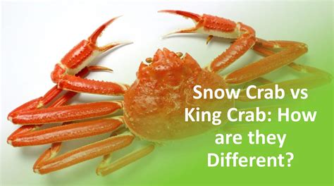 Snow Crab Vs King Crab: Key Differences Explained AZ, 57% OFF