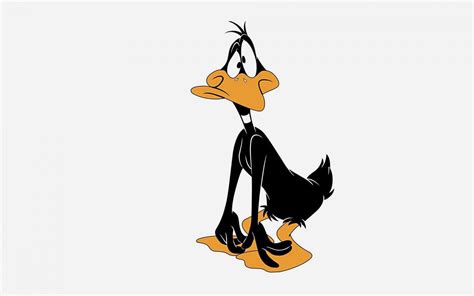 Funny Cartoon Daffy Duck wallpaper | 1680x1050 | #9279