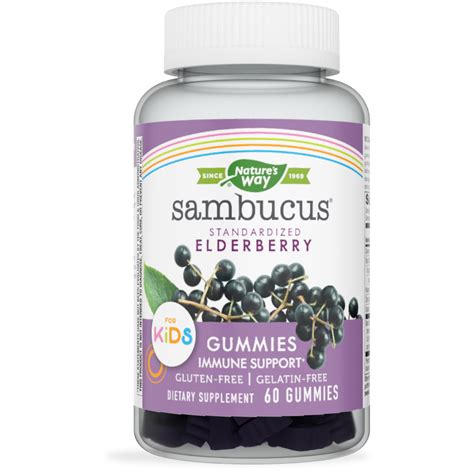 Nature's Way Sambucus Elderberry Kid's Gummies, Black Elderberry with Vitamin C and Zinc, 60 ...