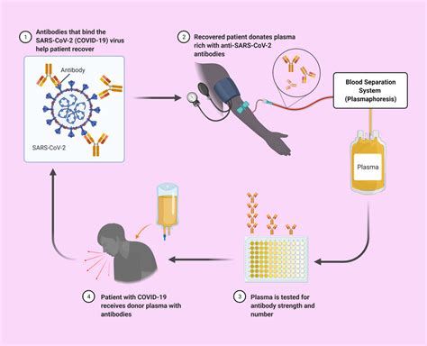 A schematic representation of convalescent plasma therapy (CPT). The... | Download Scientific ...