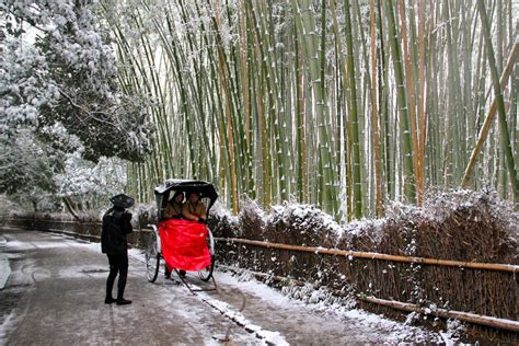 Kyoto_Arashiyama_Sagano Bamboo Forest