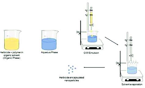 Solvent evaporation technique. | Download Scientific Diagram