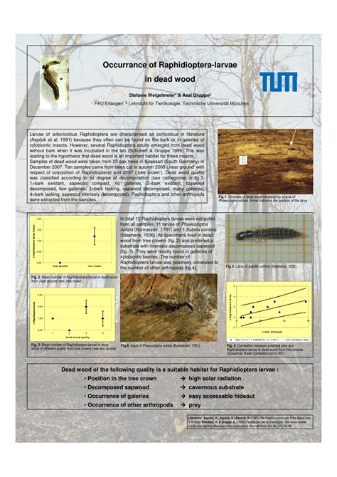 (PDF) Occurrance of Raphidioptera-larvae in dead wood