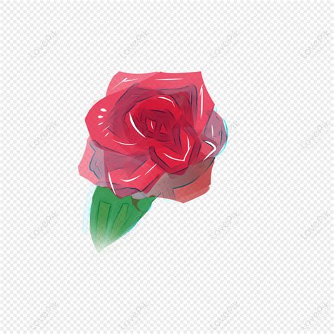 Single Rose, Pink Rose, Flower Rose, Red Rose PNG Hd Transparent Image And Clipart Image For ...