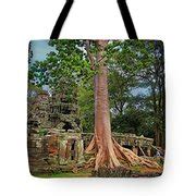 Large Ta Prohm Trees Cambodia Photograph by Chuck Kuhn - Fine Art America