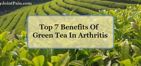 green tea rheumatoid arthritis Archives - Cure My Joint Pain