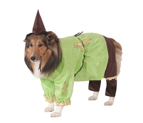 Scarecrow Dog & Cat Pet Costume - Pet Costume Center