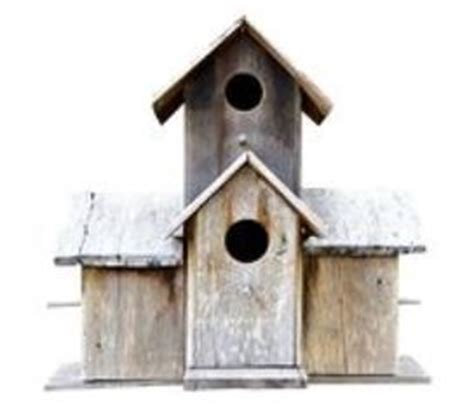 Care, Cleaning and Placement of Bird Houses