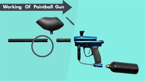 How does Paintball Gun work? How to use Paintball Gun? Complete ...