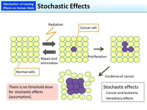 Stochastic Effects [MOE]