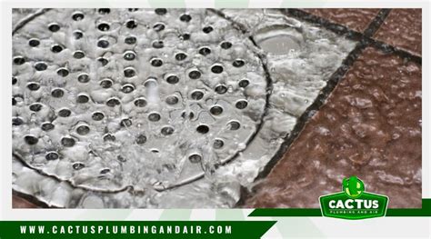 Slow Shower Drain Causes: What You Need to Know