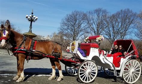 Central Park Carriage Tours (New York City) - 2019 All You Need to Know Before You Go (with ...