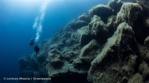 5 cosas que deberías saber sobre las enormes montañas bajo el mar - ES | Greenpeace España