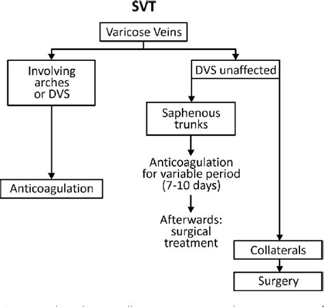 Figure 1 from Guidelines for superficial venous thrombosis | Semantic Scholar