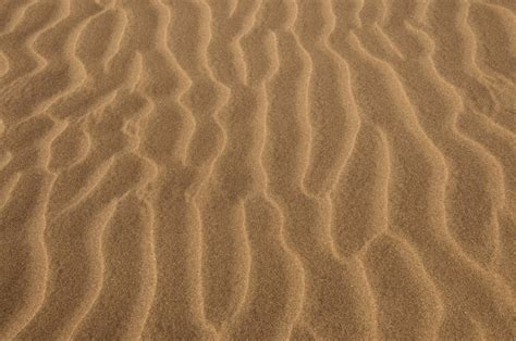 22+ Sand Textures - Free PSD, PNG, Vector EPS Format Download | Design Trends - Premium PSD ...