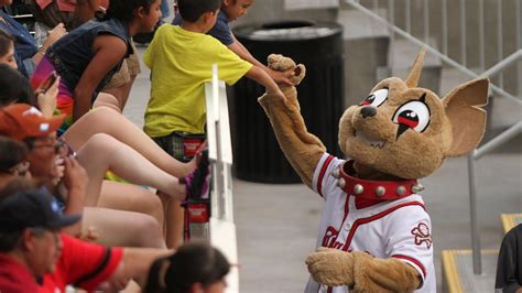 Chico: Mascot, Educator & El Paso's Favorite Ambassador | Chihuahuas