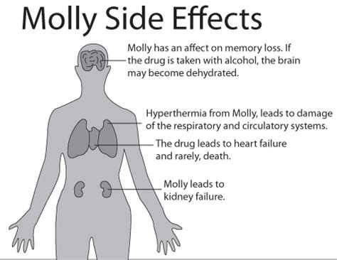 Molly Drug Effects