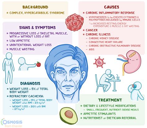 Cachexia: What It Is, Causes, Signs and Symptoms | Osmosis