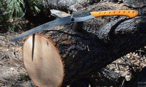 Guide to Forestry Tools and Gear: Background for Forestry Tools and ...