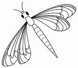 Insect Coloring Pages  Best For Kids sketch template