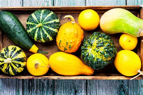 14 Types of Squash: Your Guide to Winter and Summer Squashes