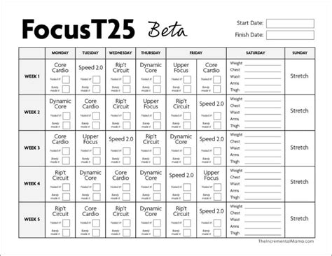 Focus T25 Alpha Beta Gamma Calendar - Codee Barbaraanne