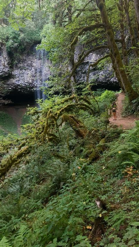 Waterfalls | Oregon | Natural swimming pool, Hiking trails, Waterfall