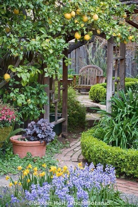 Fruitful garden Garden Pathway, Garden Gates, Backyard Garden, Backyard Landscaping, Landscaping ...