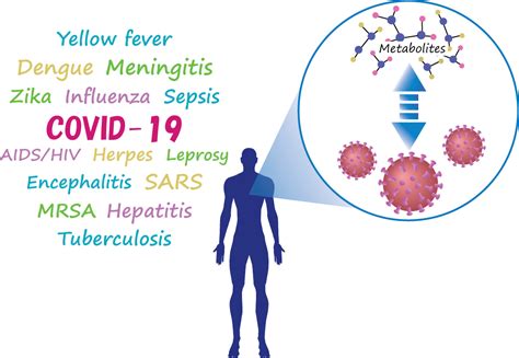 Infectious Disease | Human Metabolome Technologies