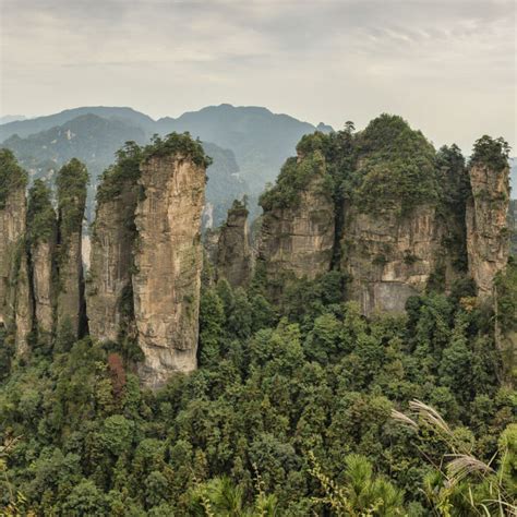 China - Nature Needs Half