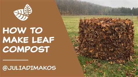 How to Make Leaf Compost - YouTube