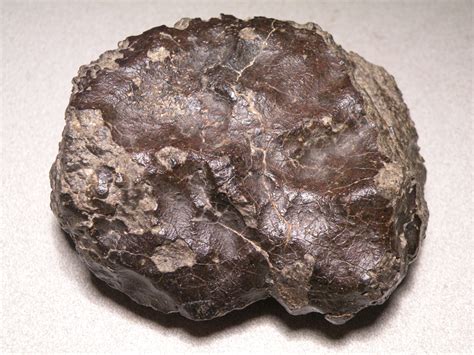 NWA 2482, polymict eucrite - Meteorite Gallery