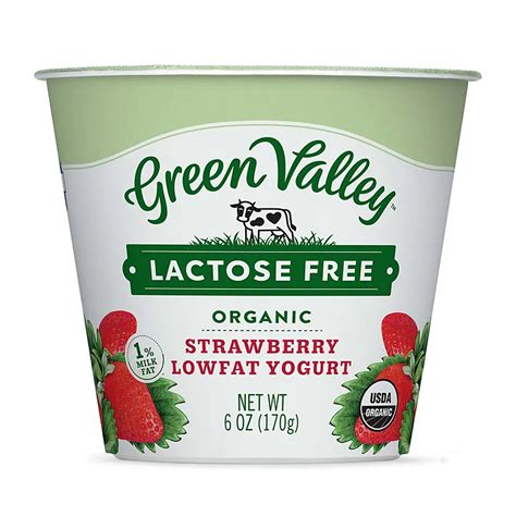 Green Valley Creamery Organic Low Fat Lactose Free Strawberry Yogurt ...