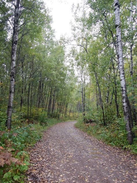 Trails Closed In Chequamegon-Nicolet National Forest | WXPR