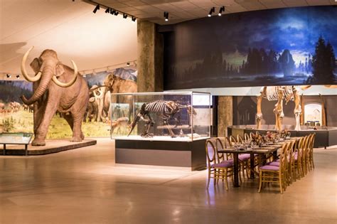 Private Events at La Brea Tar Pits | Natural History Museums of Los ...