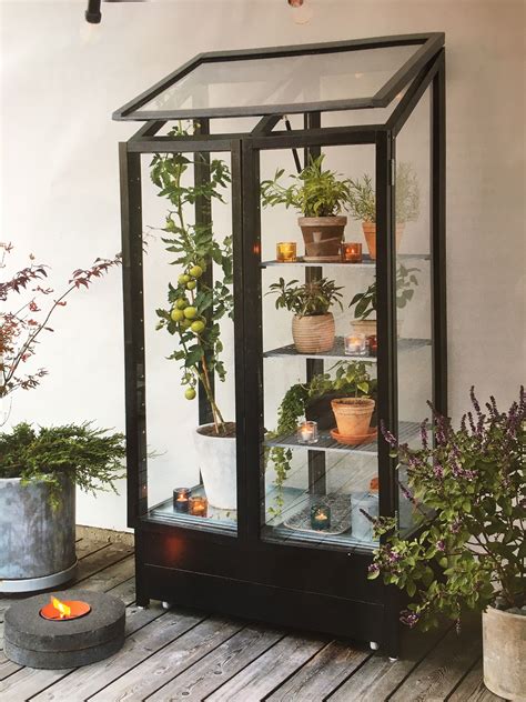 Pin by Gabby Nies on The Secret Garden | Indoor greenhouse, Indoor greenhouse diy, Diy greenhouse