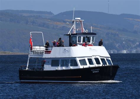 Scotland Dolphin Spotting Tour | Highland Excursions