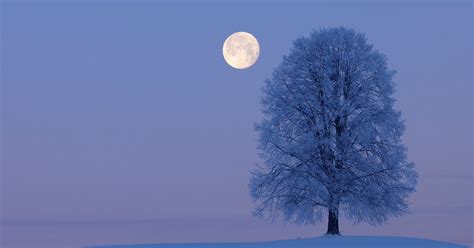 The Gorgeous 'Snow Moon' You May Have Missed This Week | HuffPost