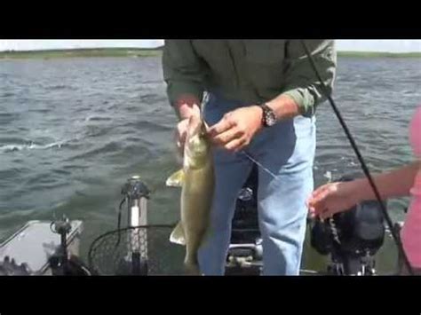 Walleye Fishing Webster SD Lakes 2014 - YouTube