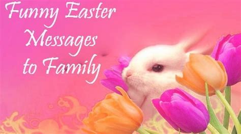 Funny Easter Messages to Family | Funny Easter Wishes