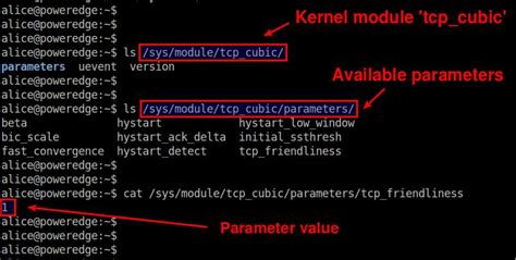 How to find information about built-in kernel modules on Linux