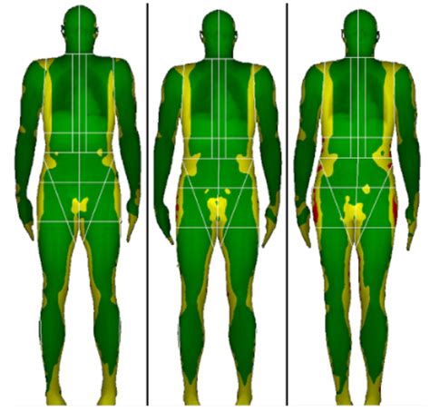 Blog: Five Reasons For Athletes To Have a DXA Body Composition Scan - FitTrace