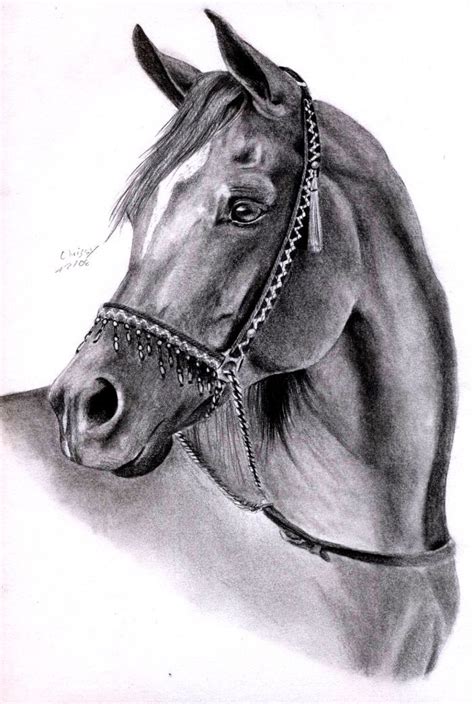 Arabian Horse by ManiaAdun. | Art Decoration Design | Horse art drawing, Horse drawings, Horse ...