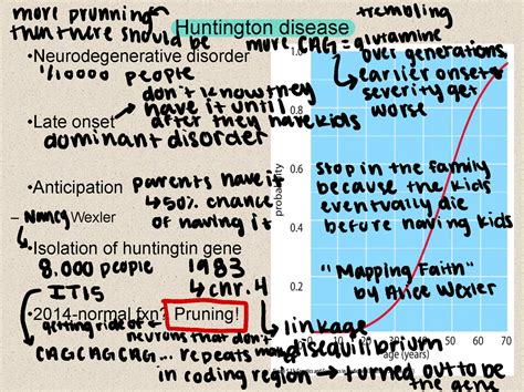 13 Human disorders II huntington disease - Huntington disease •Neurodegenerative disorder •Late ...