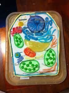 plant cell clay model - Google Search | Plant cell cake, Edible cell project, Cells project