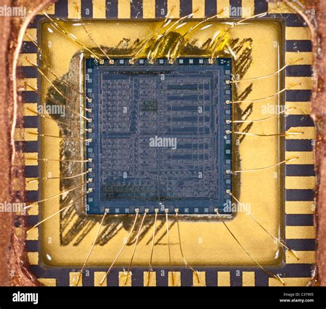 silicon chip computer semiconductor circuit Stock Photo - Alamy