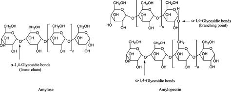 Corn Starch Structure